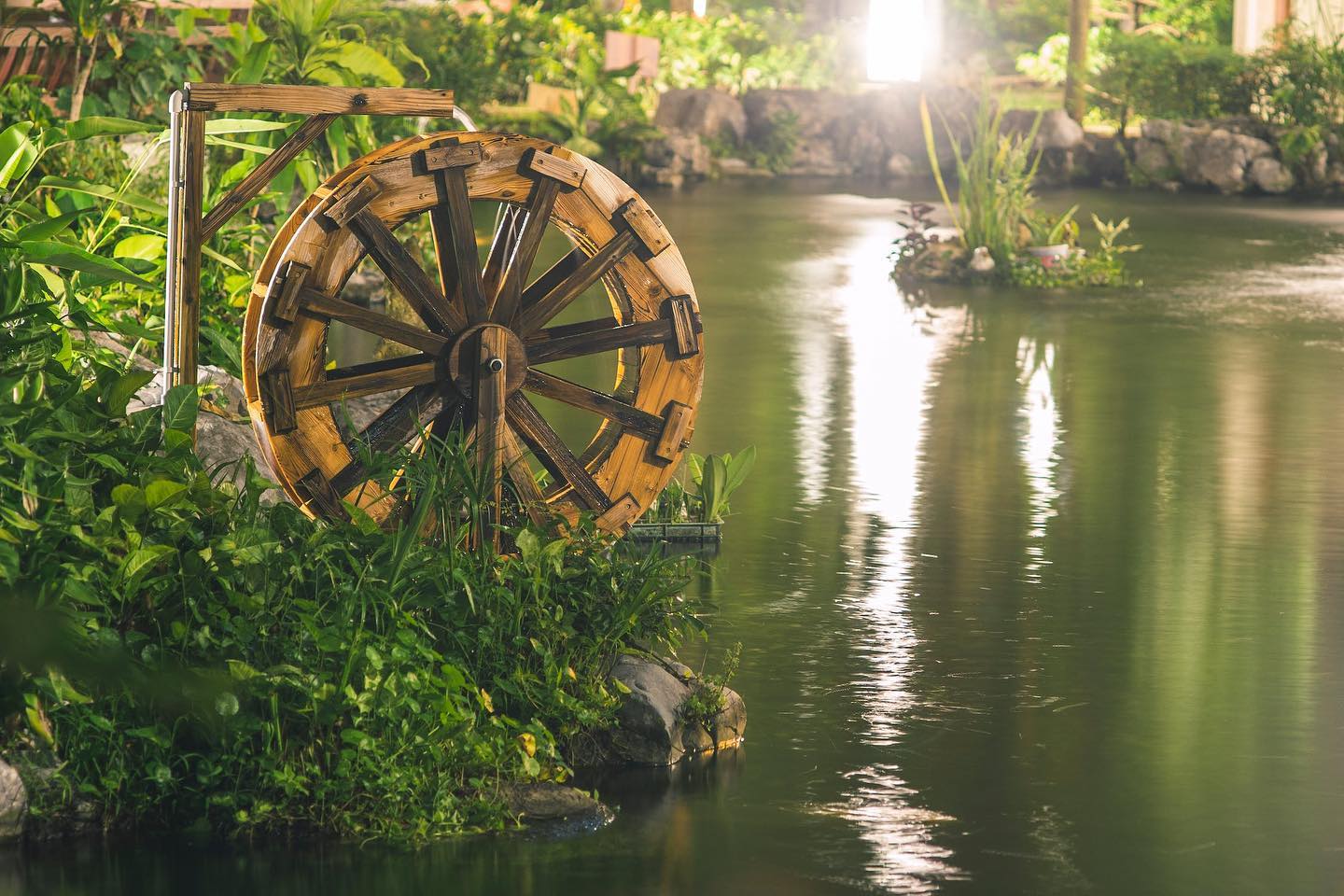 Brown Water Wheel Near Body Of Water by Jimmy Chan