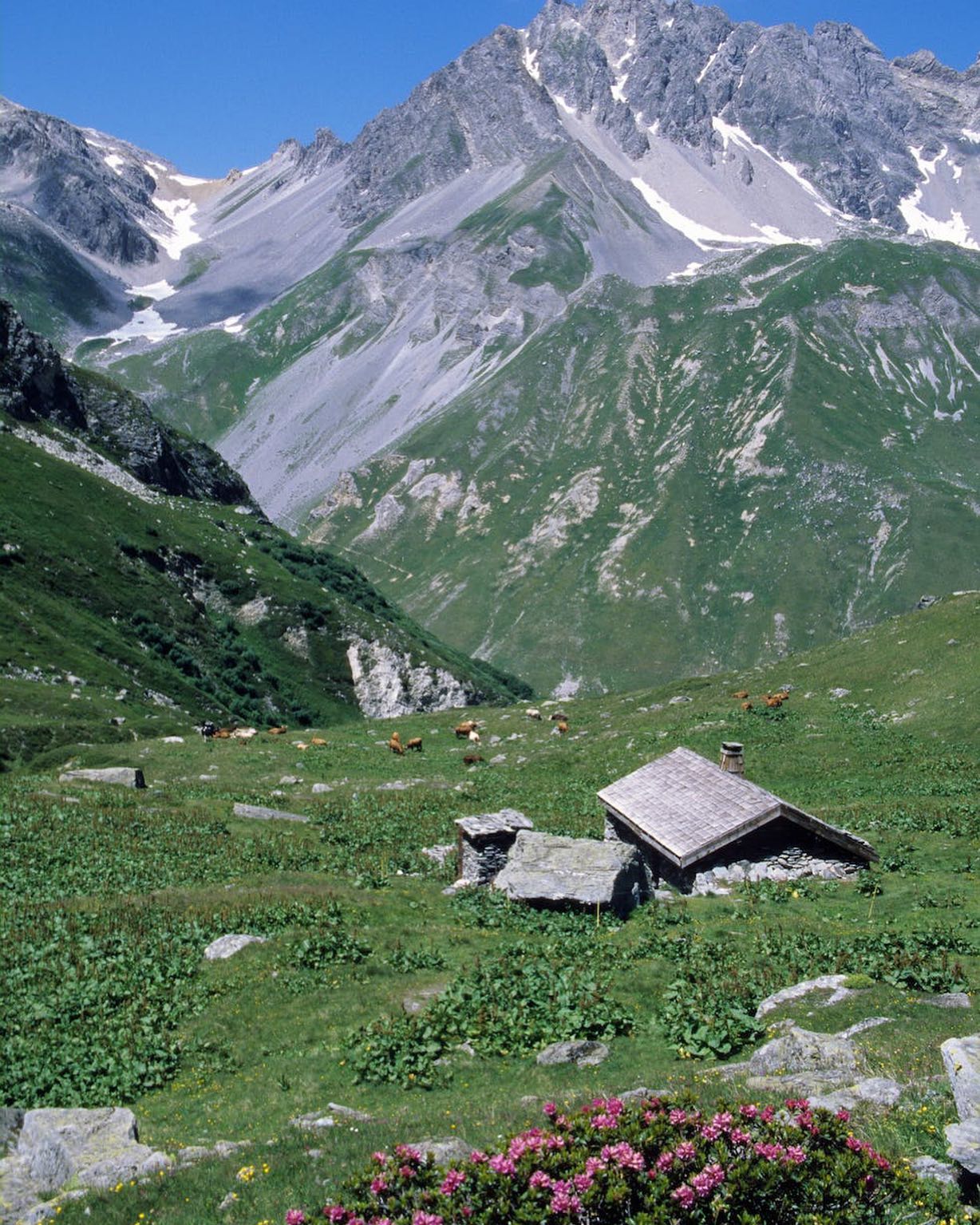 Landscape of Alpsl France by PHILIPPE SERRAND