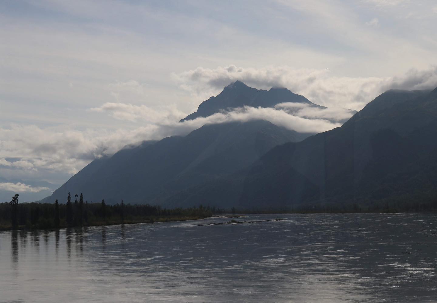 My photo of early morning in Denali National Park