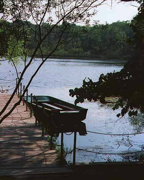 My photo at Seven Ponds Nature Center. Lapeer MI