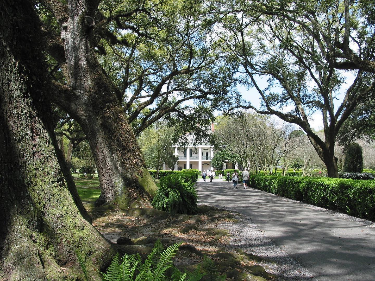 My photo of Oak Alley Plantation